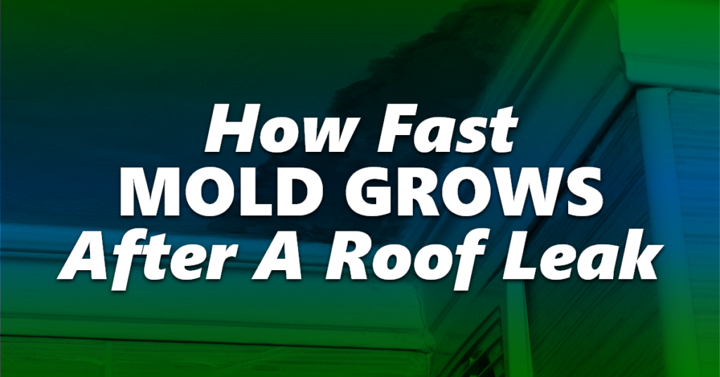 How Fast Mold Grows After A Roof Leak